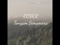 Download Lagu Cover lagu mereka bilang aku pecundang
