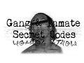 Gang Inmates Code Cracking Certification Courses Gary Klivans