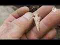 Out of the dust comes treasures from long ago Missouri arrowhead hunting