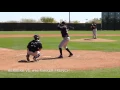 Colorado Rockies Prospect Rosell Herrera