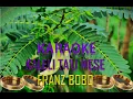 Download Lagu Karaoke Kaleli Ta'u Mese || FRANZ BOBO || Karaoke Baikeno