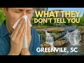From Pollen to Pests The Hidden Challenges of Living in Greenville SC
