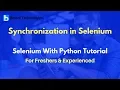 Synchronization in Selenium Selenium With Python Tutorial For Beginners