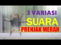 Download Lagu 3 VARIASI Suara Prenjak MERAH, 100% Jitu memikat Prenjak APAPUN jadi NYAUT GACOR