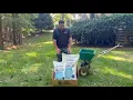 North Star Grass Seed - Premium Fescue Bluegrass Blend for Northern Lawns