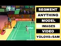 Segment Images s in Python using Segment Anything Model SAM YOLOv5 YOLOv8 and SAM