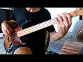Soul Fire - Lee Scratch Perry (Bass Cover HD)