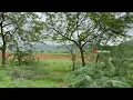 Abu Mountains 🏔 / सिरोही/ Patwari Training Centre Kailash nagar, Sirohi/ BSRathore