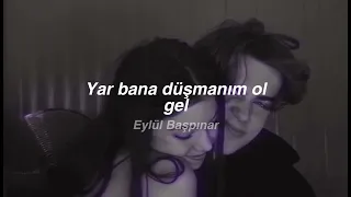                                                   دندنها