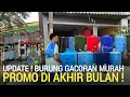 Lagu PROMO WEEKEND ! AKHIR BULAN MURAI BATU GACORAN PROSPEK OBRAL HINGGA 1JT LEBIH DI GROGOL JAKARTA 