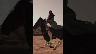 ما اخاوي الا كبار القوم بين العباد 