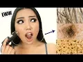 MAKEUP VS NO MAKEUP Under a Microscope