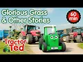 Glorious Grass Other Tractor Ted Stories Tractor Ted Compilation Tractor Ted