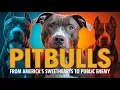 Pitbulls From America s Sweethearts to Public Enemy Full Documentary