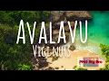 Download Lagu Vigi Nuts - Avalavu