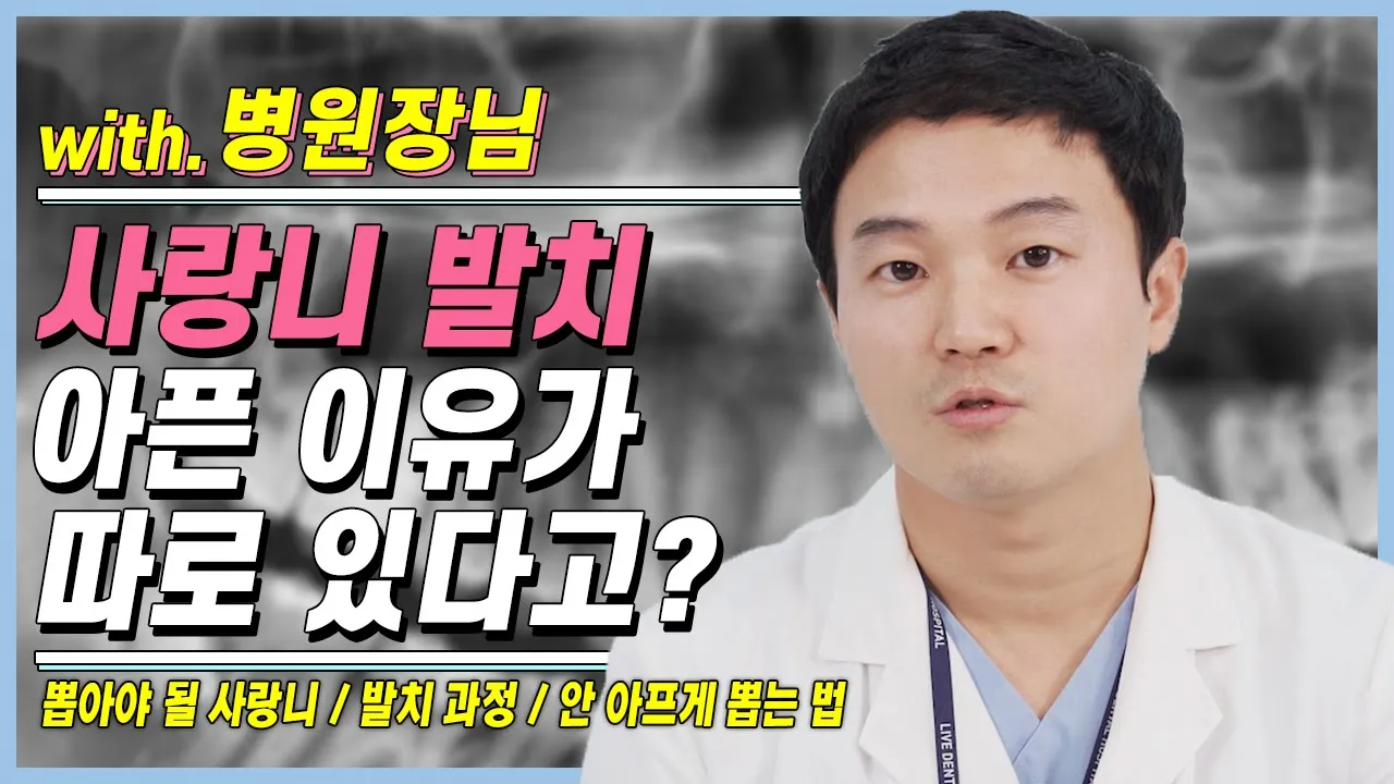 사랑니 뽑을 때 통증이 생기는 이유가 있다? 치과의사가 생각하는 사랑니 발치