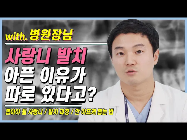 사랑니 뽑을 때 통증이 생기는 이유가 있다? 치과의사가 생각하는 사랑니 발치