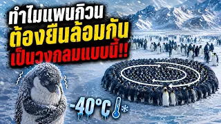 ความลับของสัตว์? ที่คุณอาจไม่เคยรู้มาก่อน!!