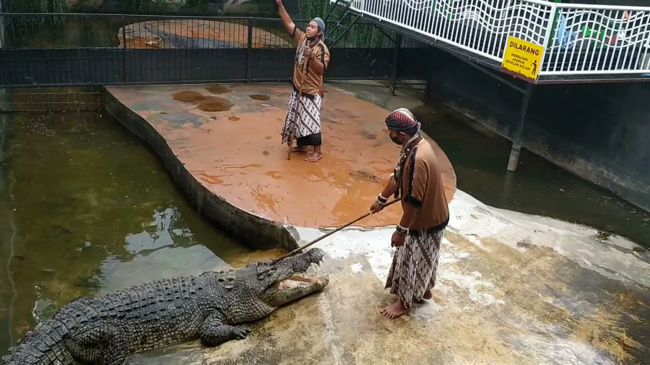 Predator Fun Park 2020 wisata Batu Malang Jatim