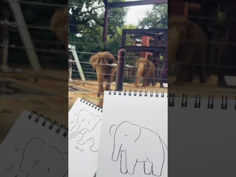水面まどかと動物園スケッチ
