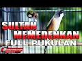 Download Lagu PANCINGAN DAN MASTERAN CENDET GACOR FULL ISIAN MATERI MEMEDENKAN FULL TEMBAKAN TONJOLAN MEWAH JUARA