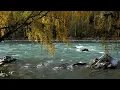 Jeremy Soule (Morrowind) — “Peaceful Waters” [Extended with Stream Ambience]