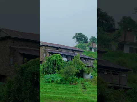 Village Life Children song #rambabusubedi #childrensongs #viralshorts #fyp #acharyagopal #shorts