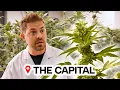 I Found America s Weirdest Cannabis Market