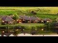 Lord Of The Rings | The Shire | Ambience & Music | 3 Hours