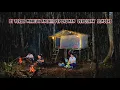 Download Lagu Camping hujan deras,Berpetualang di tengah hutan,di teror habis habisan di sa'at tidur.