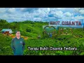 Download Lagu Bukit Cisanta, Indahnya Wisata Alam Kebun Teh Taraju Kabupaten Tasikmalaya.