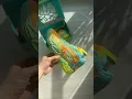 Scooby Doo collaborated with the LaMelo Ball Mb 04