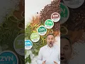 What Your Zyn Flavor Really Says About You