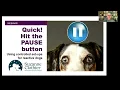 Download Lagu FDSA Webinar Suzanne Clothier Quick! Hit the PAUSE Button