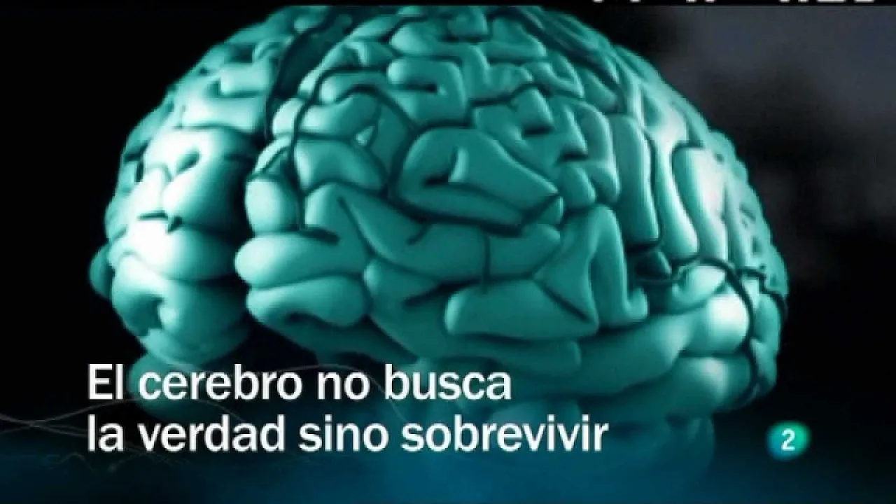 DOCUMENTALES INTERESANTES🔥El mejor DOCUMENTAL 2025 |⚠️El poder del cerebro: video thumbnail