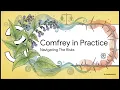 Comfrey Nature s Knit-Bone The Master Tissue Regenerator Dr Christopher s Herbal Wisdom