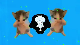 dj kicau mania remix slow viral fyp tiktok full song terbaru 2026