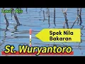 Download Lagu WGM Terbaru‼️ SIAPA SANGKA SPOT INI BANYAK KEJUTAN SETELAH AIR MULAI SURUT #mancing #mancingmania 