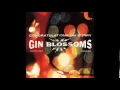 Download Lagu Gin Blossoms - Not Only Numb (Album Version)