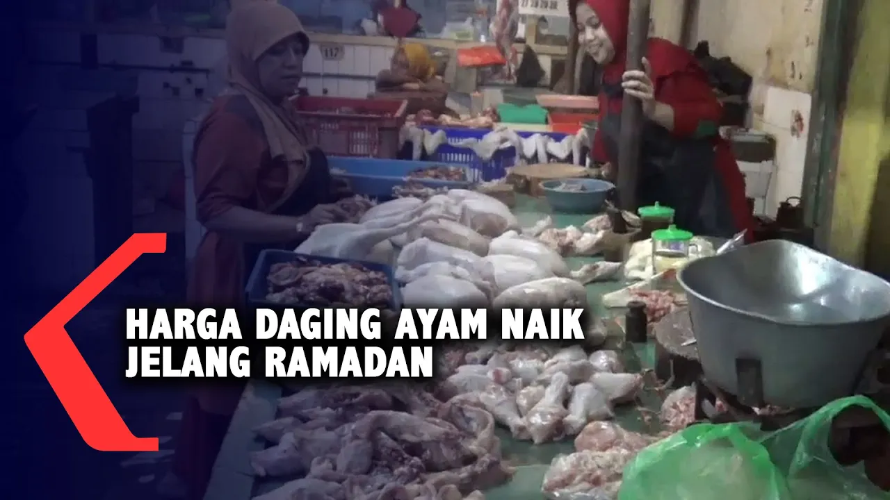 Usaha Jualan Daging Ayam di Pasar