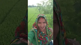 Bitoli Jaunpuriya Video