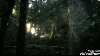 moongil kaadugale full song nature love videos