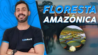 VEGETAÇÕES DO BRASIL - FLORESTA AMAZÔNICA: Características e desmatamento