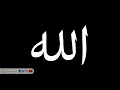 Lagu Hadrah | Al-Musafirun | The Sufi Hub