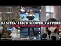 Download Lagu DJ STECU STECU SLOWED + REVERB || YANG KALIAN CARI VIRAL TIKTOK MENGKANE ‼️