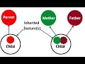 Inheritance - Part 1 C NET Tutorial Zaheer Ahmad