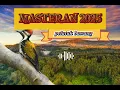 Download Lagu Masteran Burung Pelatuk Bawang Speed Rapat panjang | Suara Pelatuk Bawang Gacor