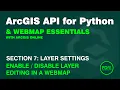 Setting Editing Capabilities for a WebMap Layer in ArcGIS Online using the ArcGIS API for Python