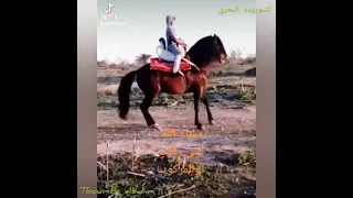مجموعة مسناوة يا دوك رجال وفرسان الخيل اغنية رائعة 