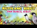 Download Lagu Suara Pikat Kutilang Ribut Dan Burung kecil Ribut Terbaru 2025